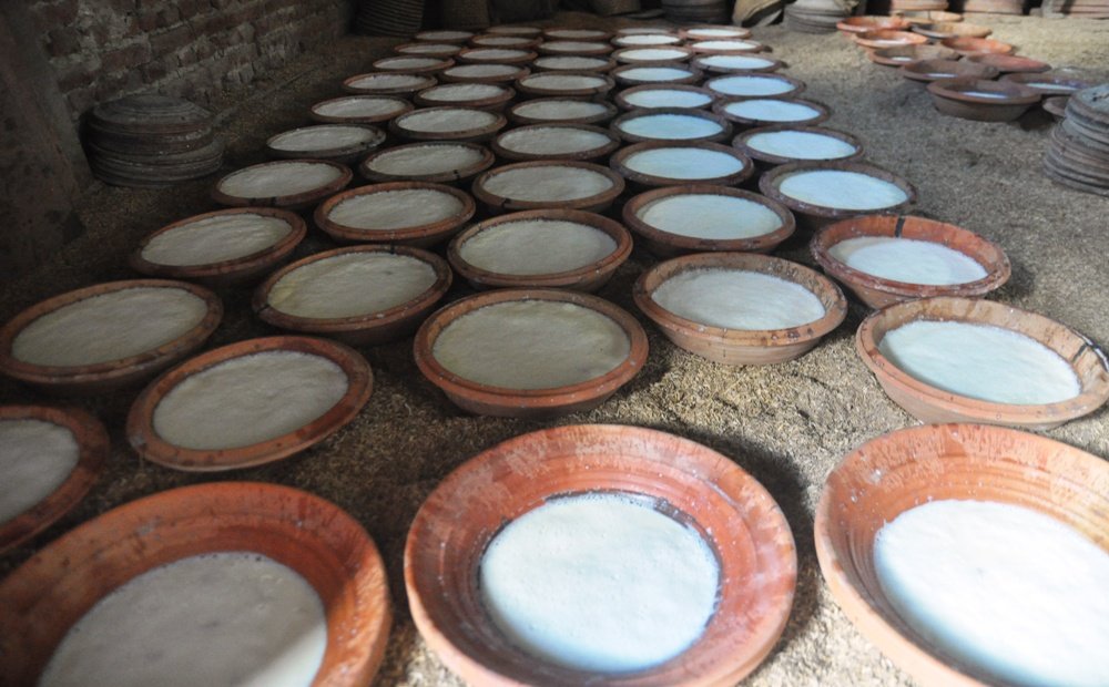 फस्टाउँदै छ, भक्तपुरको जुजु धौ व्यवसाय